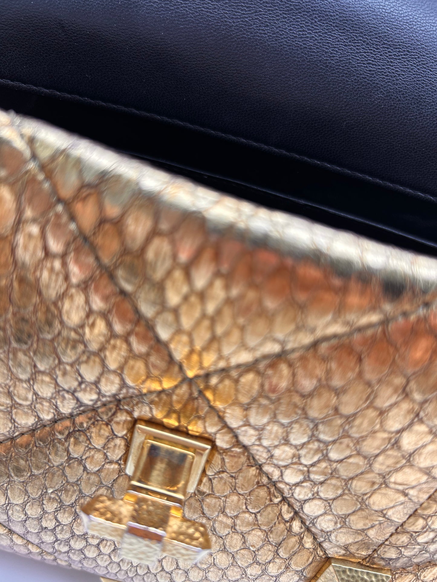 Valentino large Roman stud python