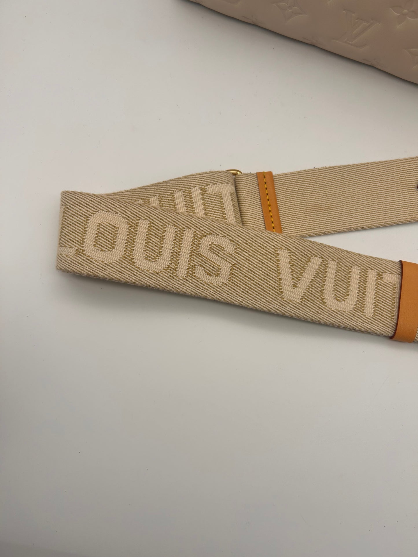 Louis Vuitton Coussin PM