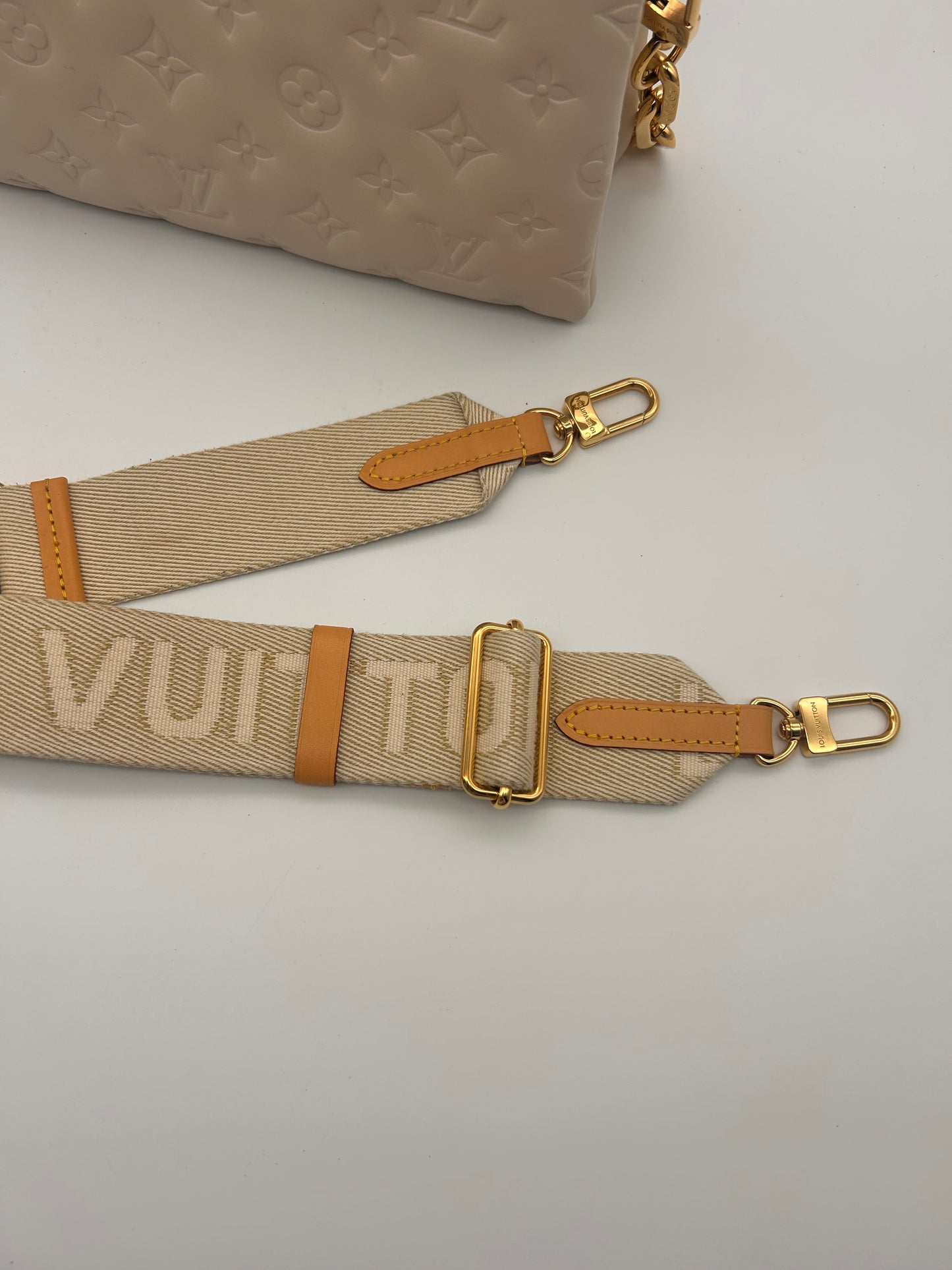 Louis Vuitton Coussin PM