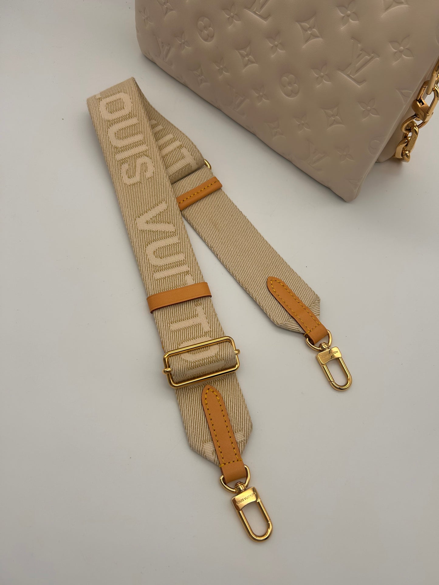 Louis Vuitton Coussin PM