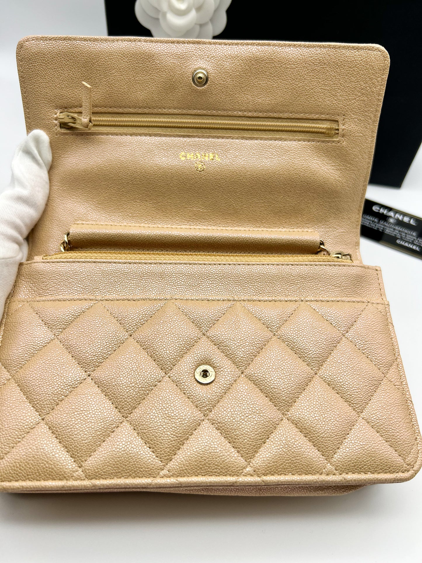 Chanel WOC