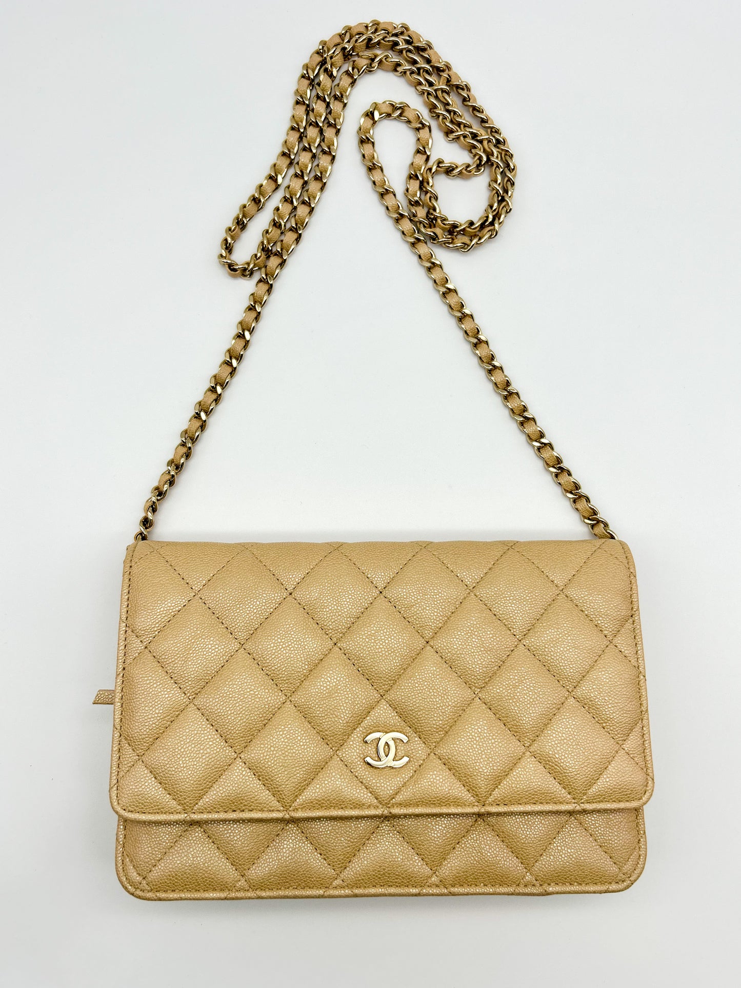 Chanel WOC