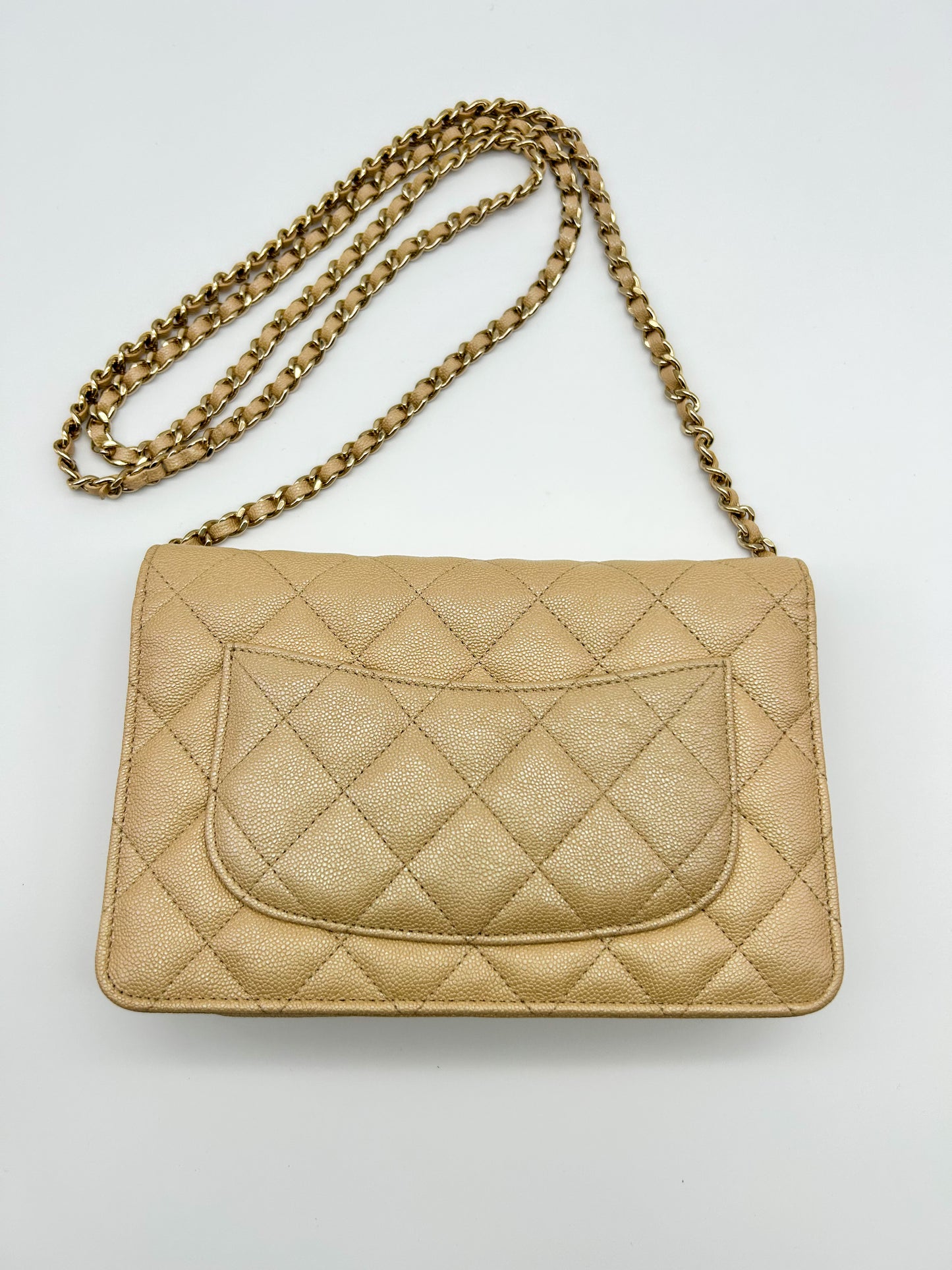 Chanel WOC