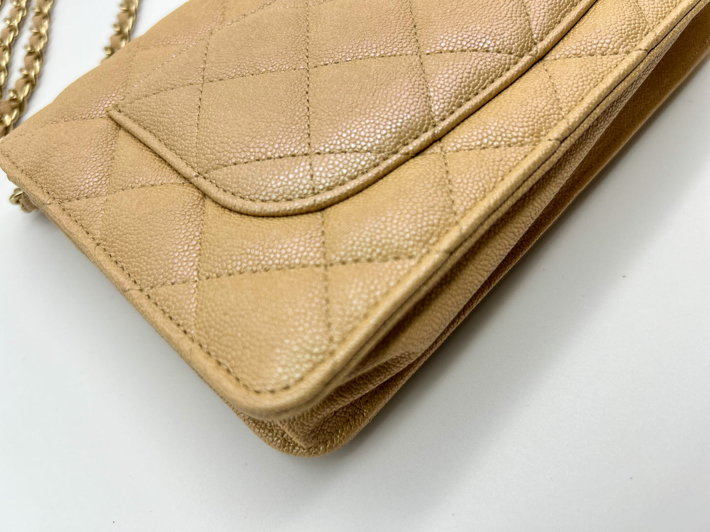 Chanel WOC