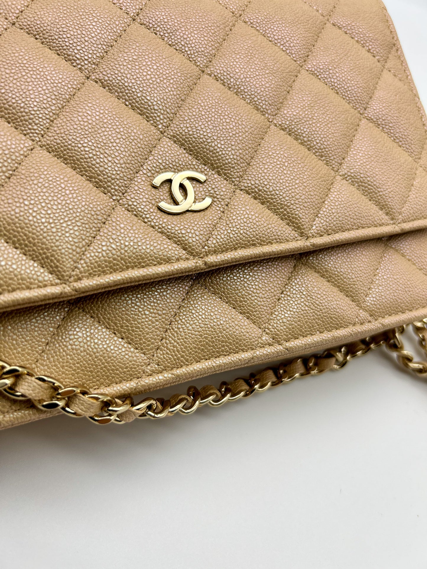 Chanel WOC