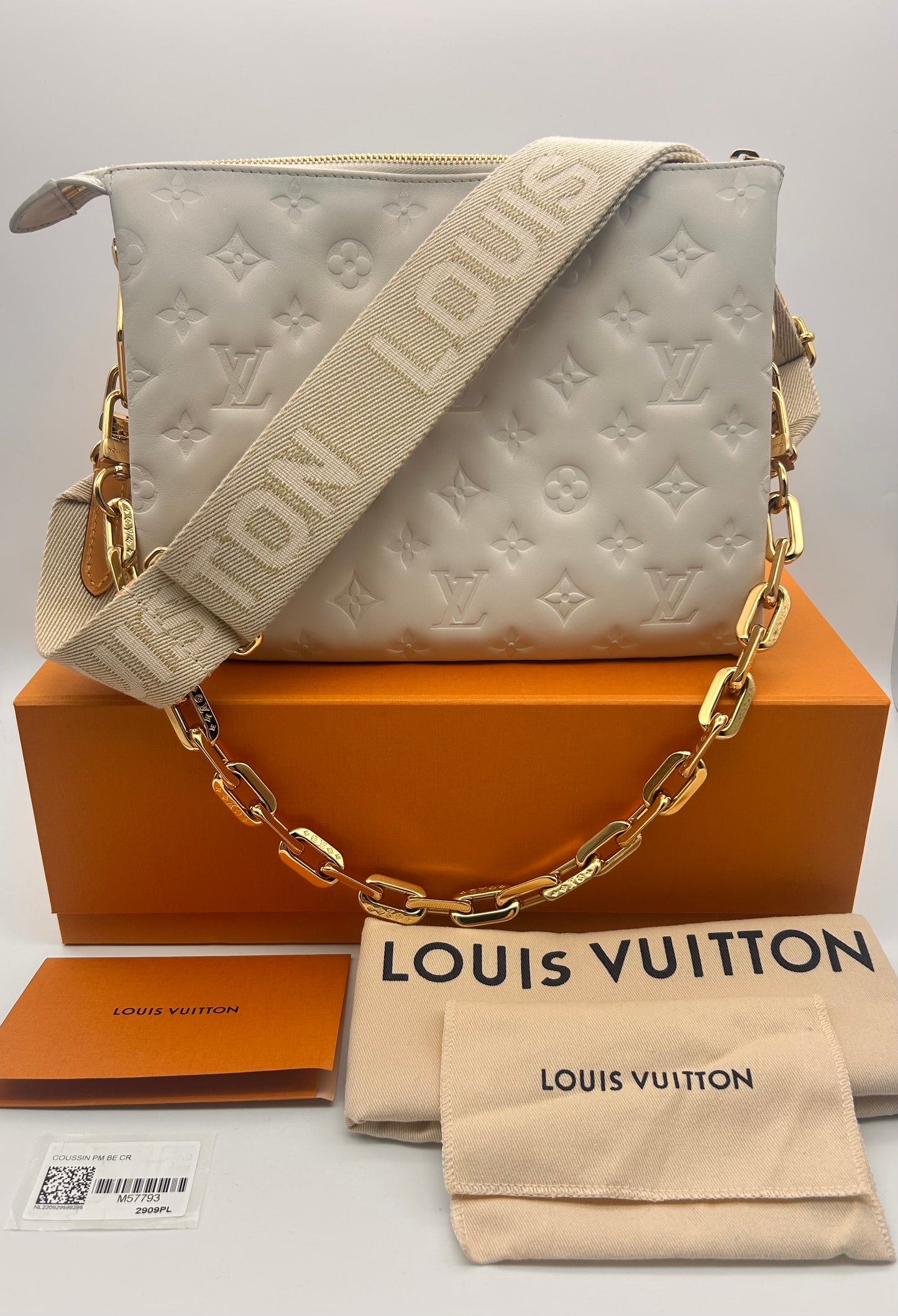 Louis Vuitton Coussin PM