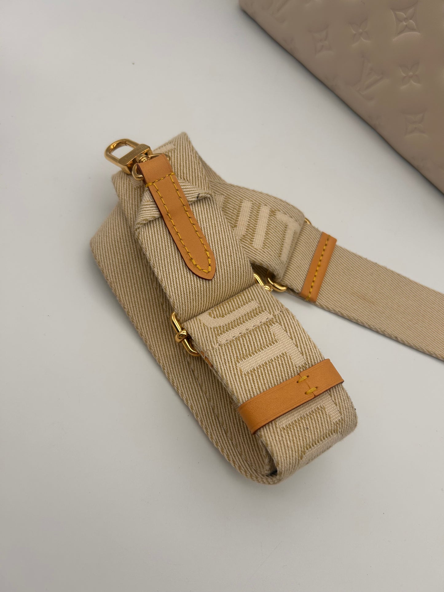 Louis Vuitton Coussin PM