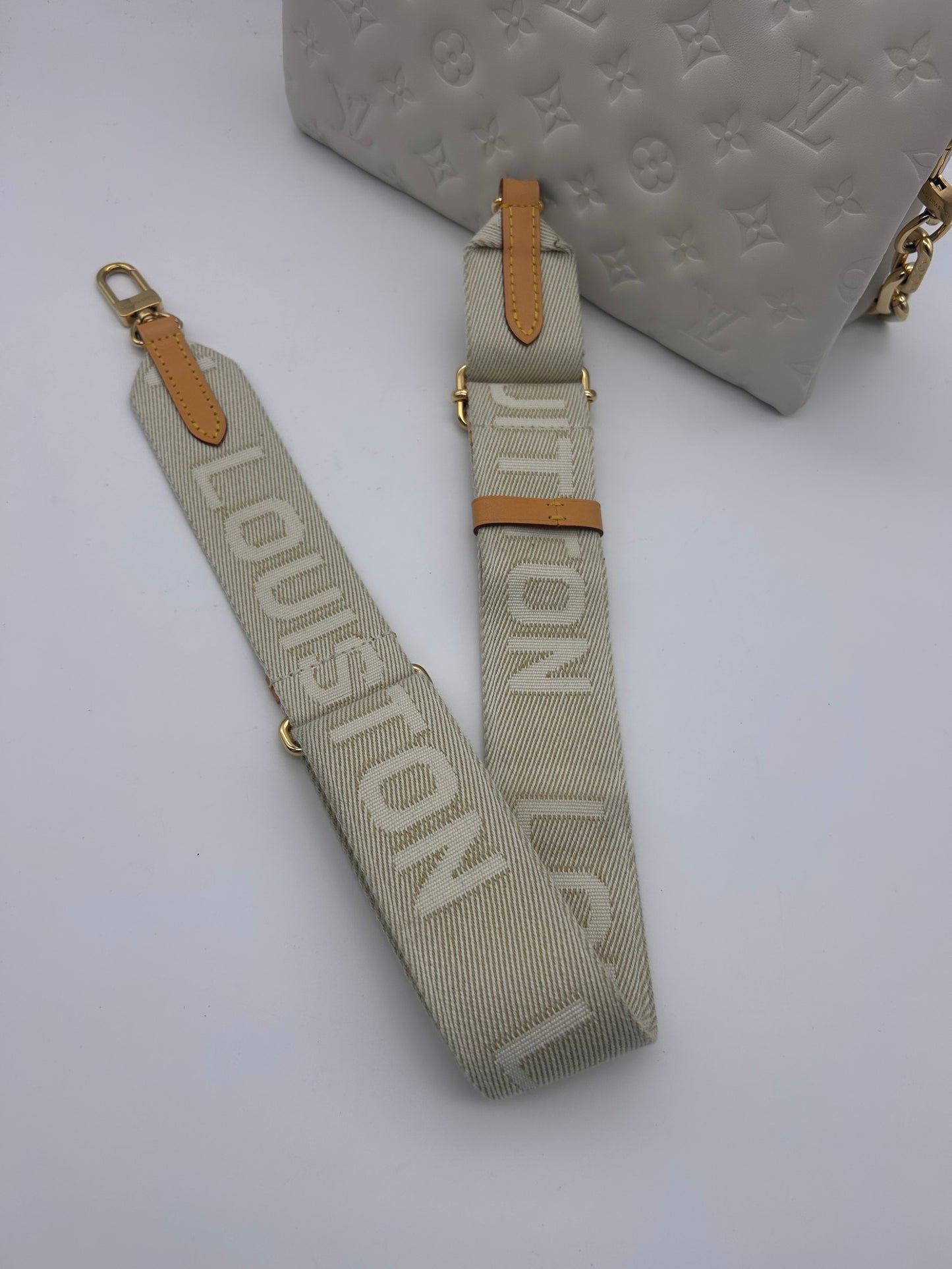 Louis Vuitton Coussin PM
