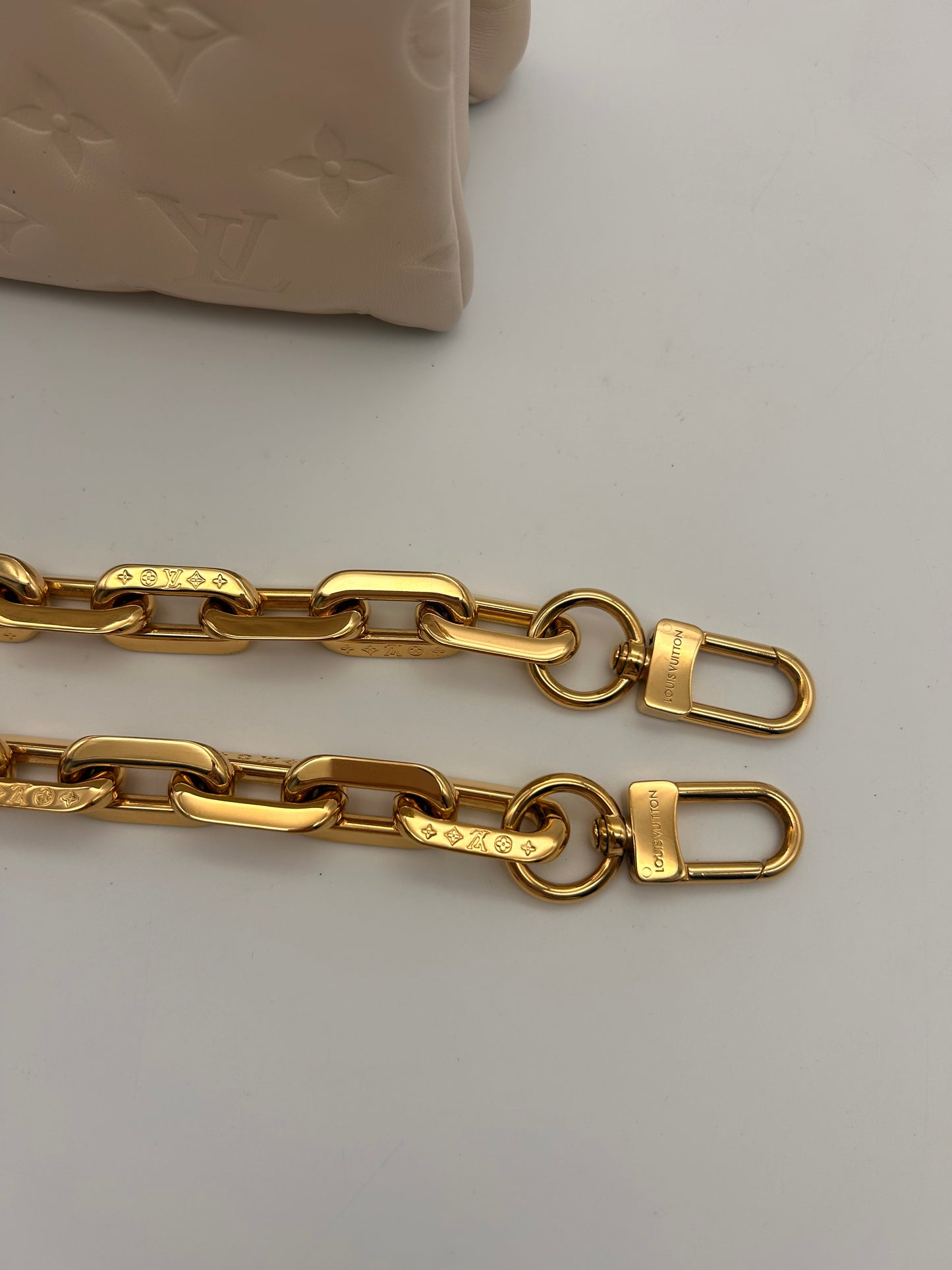 Louis Vuitton Coussin PM