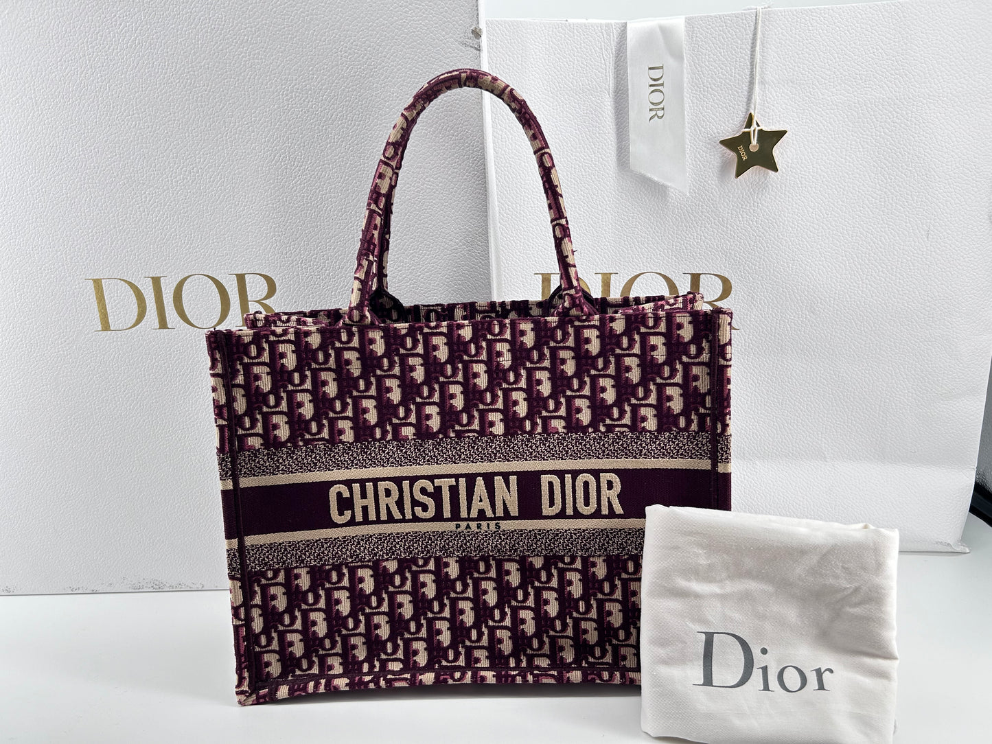 Dior book tote medium