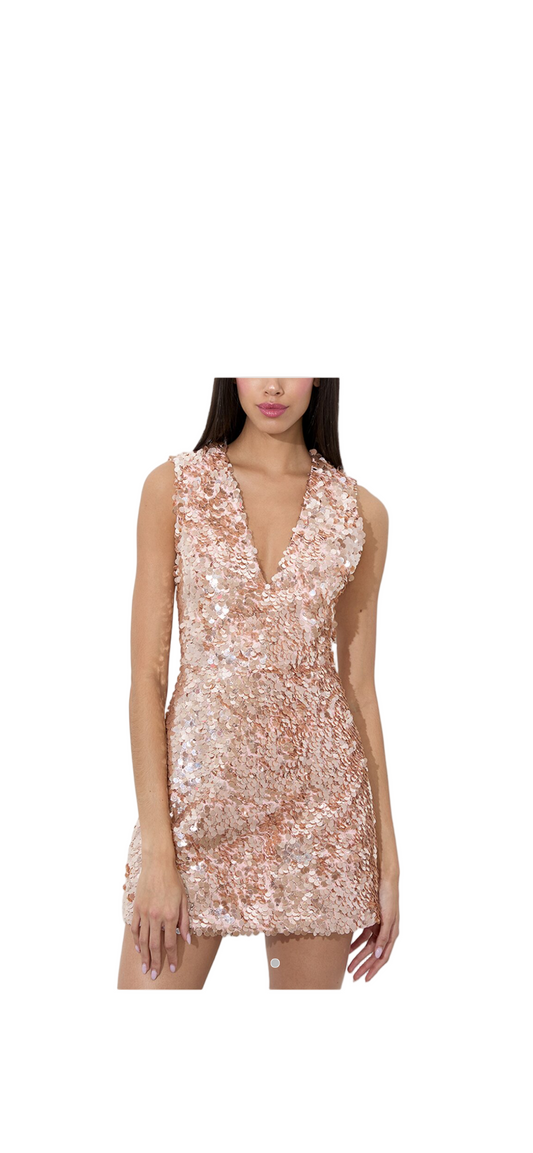 Alice + Olivia size 4