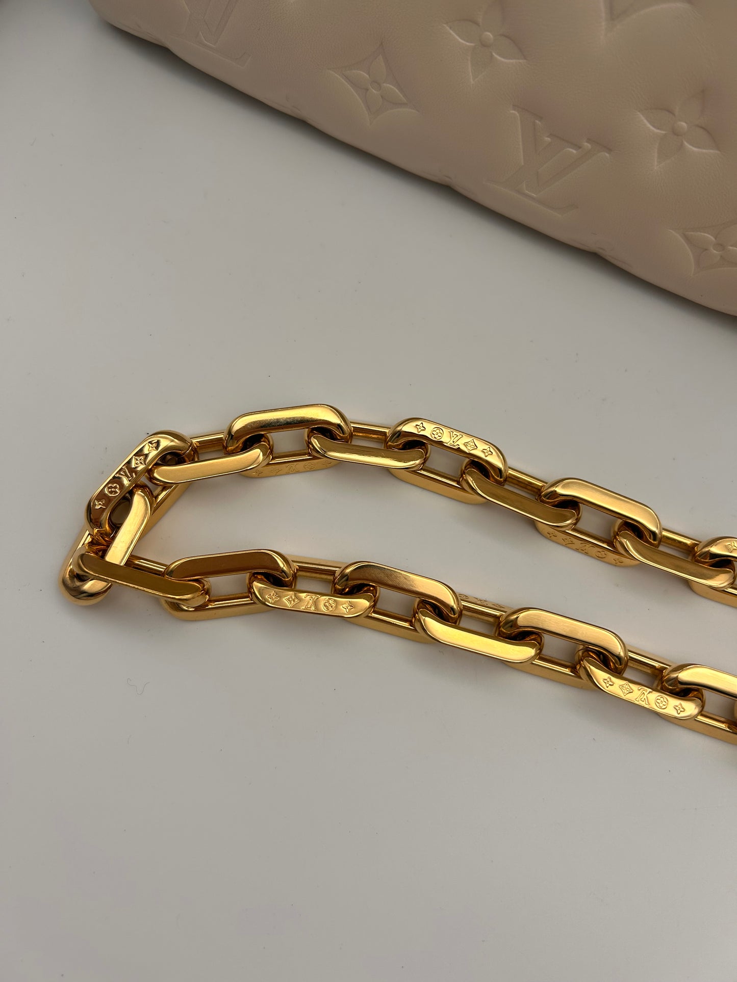 Louis Vuitton Coussin PM